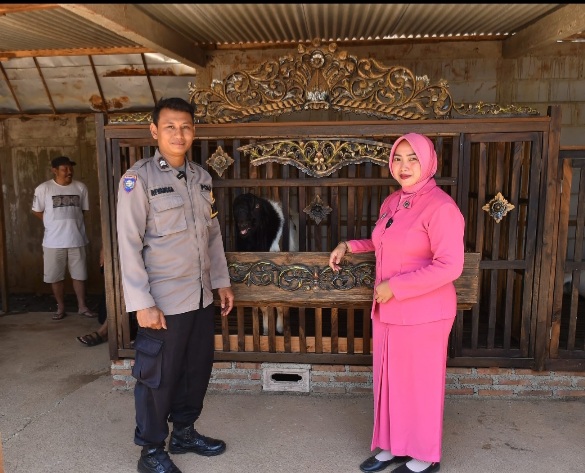 Dari Polisi ke Peternakan Kambing Etawa, Brigadir Revangga Tunjukan Dedikasi untuk Ketahanan Pangan
